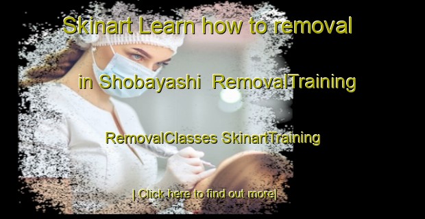 Skinart Learn how to removal in Shobayashi | #RemovalTraining #RemovalClasses #SkinartTraining-Japan