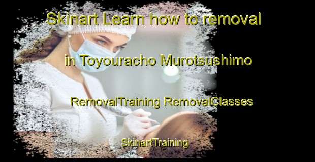 Skinart Learn how to removal in Toyouracho Murotsushimo | #RemovalTraining #RemovalClasses #SkinartTraining-Japan