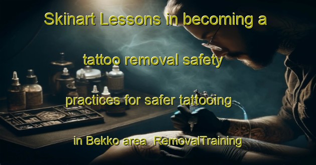 Skinart Lessons in becoming a tattoo removal safety practices for safer tattooing in Bekko area | RemovalTraining | RemovalClasses | SkinartTraining-Japan
