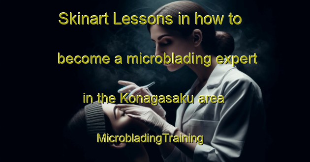 Skinart Lessons in how to become a microblading expert in the Konagasaku area | MicrobladingTraining | MicrobladingClasses | SkinartTraining-Japan