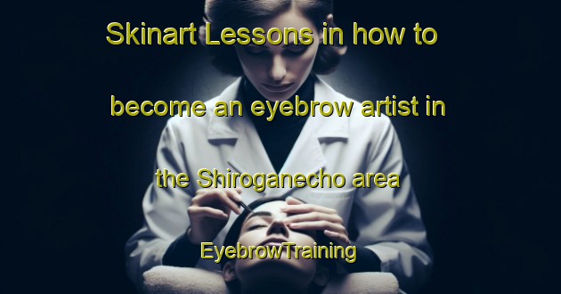 Skinart Lessons in how to become an eyebrow artist in the Shiroganecho area | EyebrowTraining | EyebrowClasses | SkinartTraining-Japan