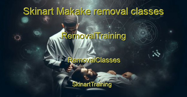 Skinart Makake removal classes | RemovalTraining | RemovalClasses | SkinartTraining-Japan