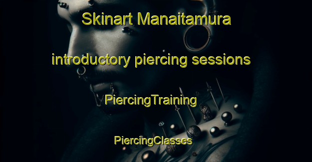 Skinart Manaitamura introductory piercing sessions | PiercingTraining | PiercingClasses | SkinartTraining-Japan