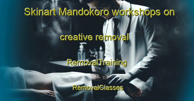 Skinart Mandokoro workshops on creative removal | RemovalTraining | RemovalClasses | SkinartTraining-Japan