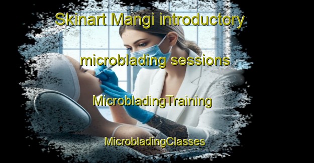 Skinart Mangi introductory microblading sessions | MicrobladingTraining | MicrobladingClasses | SkinartTraining-Japan