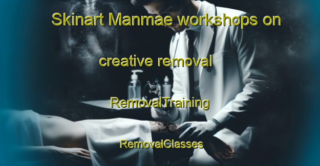 Skinart Manmae workshops on creative removal | RemovalTraining | RemovalClasses | SkinartTraining-Japan