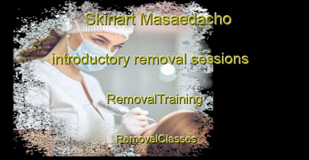 Skinart Masaedacho introductory removal sessions | RemovalTraining | RemovalClasses | SkinartTraining-Japan
