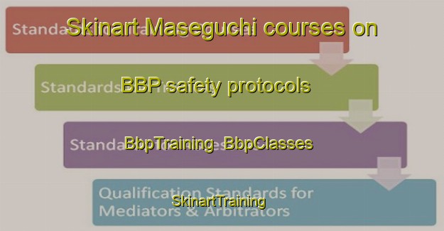Skinart Maseguchi courses on BBP safety protocols | BbpTraining | BbpClasses | SkinartTraining-Japan