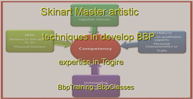 Skinart Master artistic techniques in develop BBP expertise in Togire | BbpTraining | BbpClasses | SkinartTraining-Japan