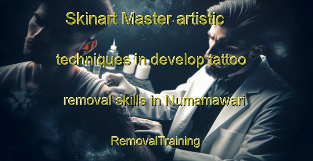 Skinart Master artistic techniques in develop tattoo removal skills in Numamawari | RemovalTraining | RemovalClasses | SkinartTraining-Japan