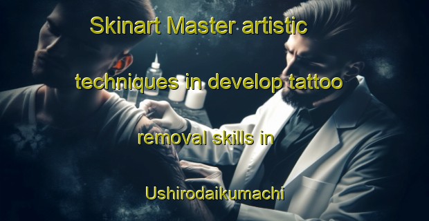 Skinart Master artistic techniques in develop tattoo removal skills in Ushirodaikumachi | RemovalTraining | RemovalClasses | SkinartTraining-Japan