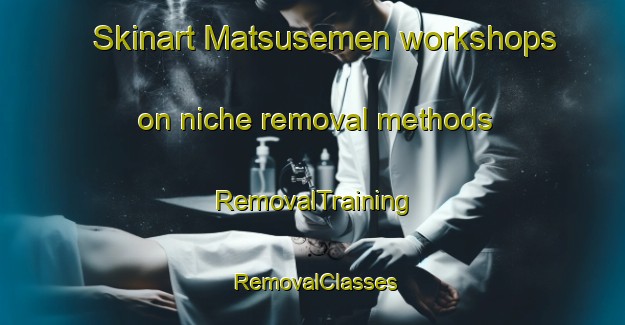 Skinart Matsusemen workshops on niche removal methods | RemovalTraining | RemovalClasses | SkinartTraining-Japan
