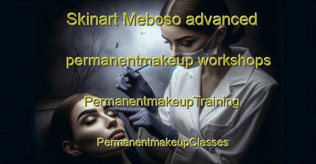 Skinart Meboso advanced permanentmakeup workshops | PermanentmakeupTraining | PermanentmakeupClasses | SkinartTraining-Japan
