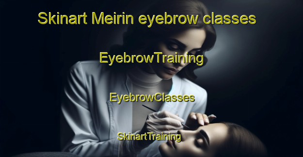 Skinart Meirin eyebrow classes | EyebrowTraining | EyebrowClasses | SkinartTraining-Japan