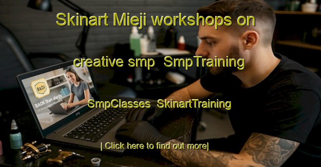 Skinart Mieji workshops on creative smp | SmpTraining | SmpClasses | SkinartTraining-Japan