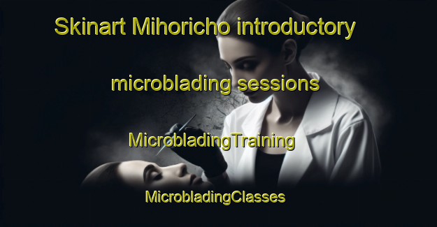 Skinart Mihoricho introductory microblading sessions | MicrobladingTraining | MicrobladingClasses | SkinartTraining-Japan