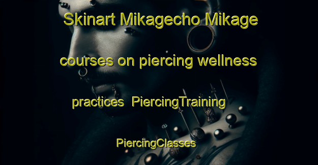 Skinart Mikagecho Mikage courses on piercing wellness practices | PiercingTraining | PiercingClasses | SkinartTraining-Japan