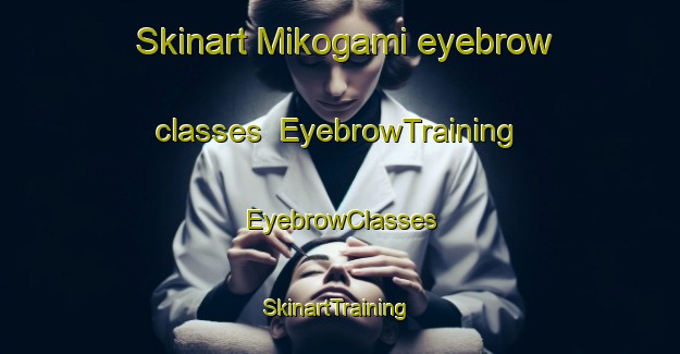 Skinart Mikogami eyebrow classes | EyebrowTraining | EyebrowClasses | SkinartTraining-Japan