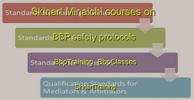 Skinart Minaichi courses on BBP safety protocols | BbpTraining | BbpClasses | SkinartTraining-Japan