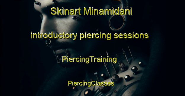 Skinart Minamidani introductory piercing sessions | PiercingTraining | PiercingClasses | SkinartTraining-Japan