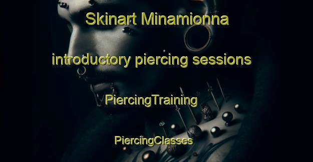 Skinart Minamionna introductory piercing sessions | PiercingTraining | PiercingClasses | SkinartTraining-Japan