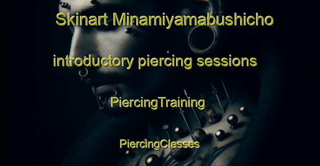 Skinart Minamiyamabushicho introductory piercing sessions | #PiercingTraining #PiercingClasses #SkinartTraining-Japan