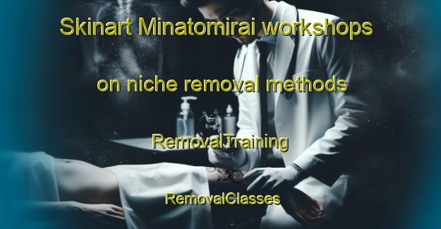 Skinart Minatomirai workshops on niche removal methods | RemovalTraining | RemovalClasses | SkinartTraining-Japan