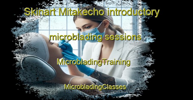 Skinart Mitakecho introductory microblading sessions | MicrobladingTraining | MicrobladingClasses | SkinartTraining-Japan