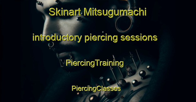 Skinart Mitsugumachi introductory piercing sessions | PiercingTraining | PiercingClasses | SkinartTraining-Japan
