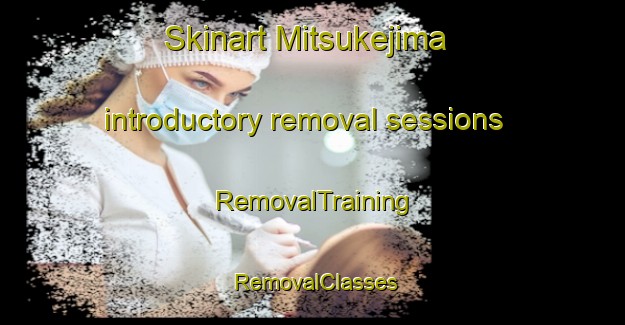 Skinart Mitsukejima introductory removal sessions | RemovalTraining | RemovalClasses | SkinartTraining-Japan