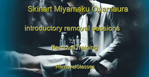 Skinart Miyamaku Oyamaura introductory removal sessions | RemovalTraining | RemovalClasses | SkinartTraining-Japan