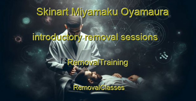 Skinart Miyamaku Oyamaura introductory removal sessions | RemovalTraining | RemovalClasses | SkinartTraining-Japan