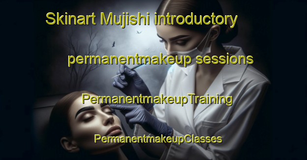 Skinart Mujishi introductory permanentmakeup sessions | PermanentmakeupTraining | PermanentmakeupClasses | SkinartTraining-Japan