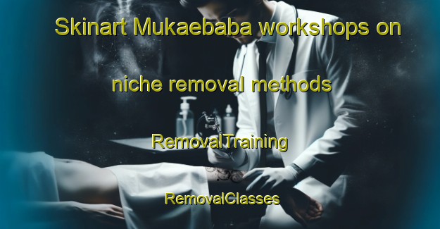 Skinart Mukaebaba workshops on niche removal methods | RemovalTraining | RemovalClasses | SkinartTraining-Japan