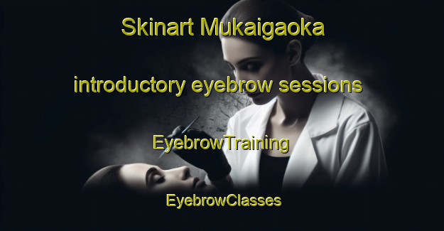 Skinart Mukaigaoka introductory eyebrow sessions | EyebrowTraining | EyebrowClasses | SkinartTraining-Japan
