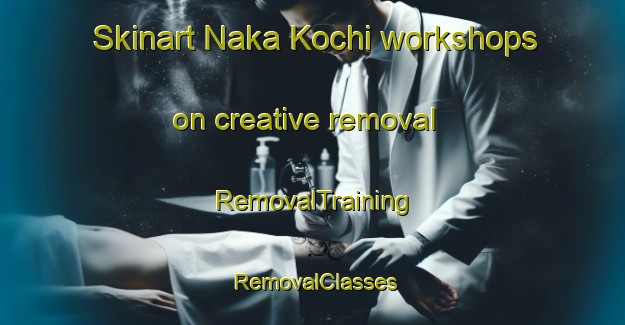 Skinart Naka Kochi workshops on creative removal | RemovalTraining | RemovalClasses | SkinartTraining-Japan