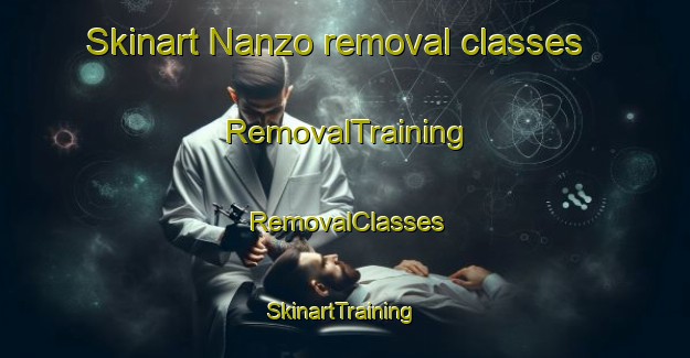 Skinart Nanzo removal classes | RemovalTraining | RemovalClasses | SkinartTraining-Japan
