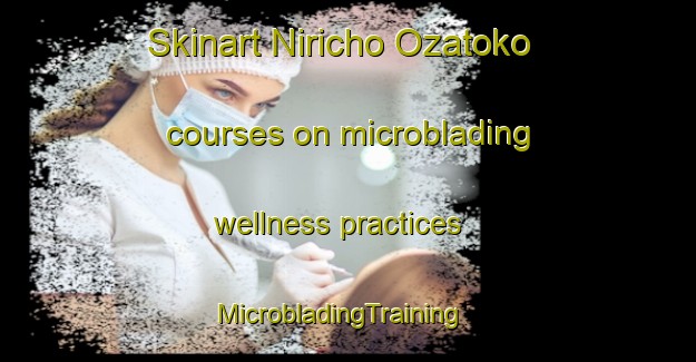 Skinart Niricho Ozatoko courses on microblading wellness practices | MicrobladingTraining | MicrobladingClasses | SkinartTraining-Japan