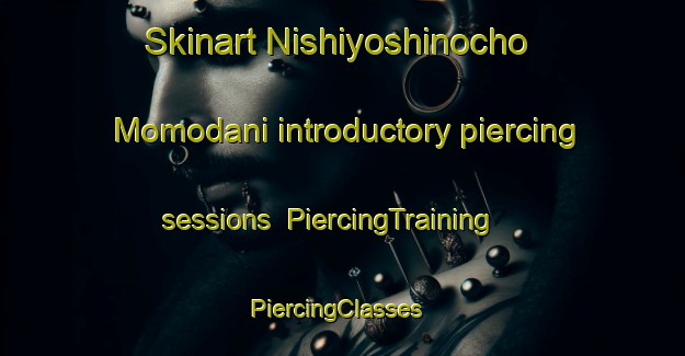Skinart Nishiyoshinocho Momodani introductory piercing sessions | PiercingTraining | PiercingClasses | SkinartTraining-Japan