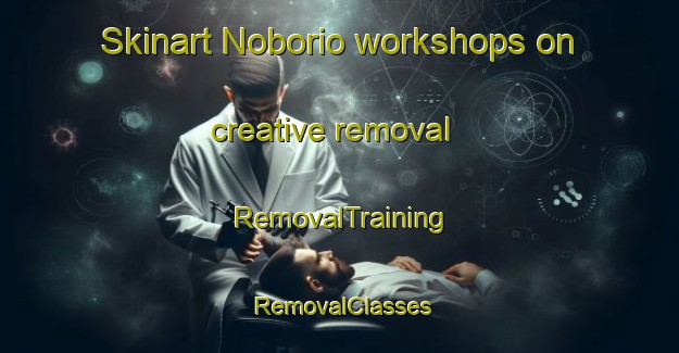 Skinart Noborio workshops on creative removal | RemovalTraining | RemovalClasses | SkinartTraining-Japan