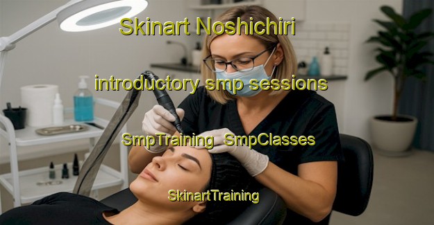Skinart Noshichiri introductory smp sessions | SmpTraining | SmpClasses | SkinartTraining-Japan