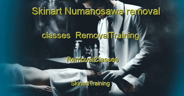 Skinart Numanosawa removal classes | RemovalTraining | RemovalClasses | SkinartTraining-Japan