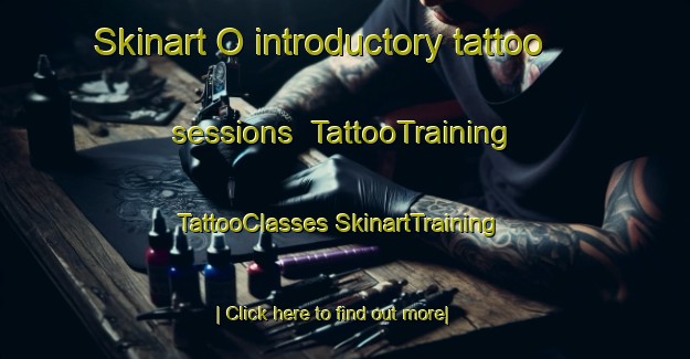 Skinart O introductory tattoo sessions | #TattooTraining #TattooClasses #SkinartTraining-Japan