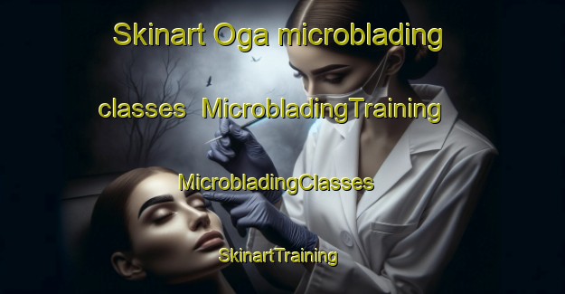 Skinart Oga microblading classes | MicrobladingTraining | MicrobladingClasses | SkinartTraining-Japan
