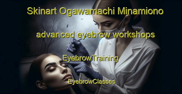 Skinart Ogawamachi Minamiono advanced eyebrow workshops | EyebrowTraining | EyebrowClasses | SkinartTraining-Japan