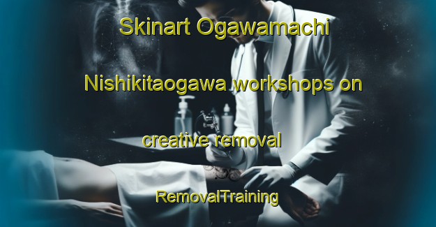 Skinart Ogawamachi Nishikitaogawa workshops on creative removal | RemovalTraining | RemovalClasses | SkinartTraining-Japan