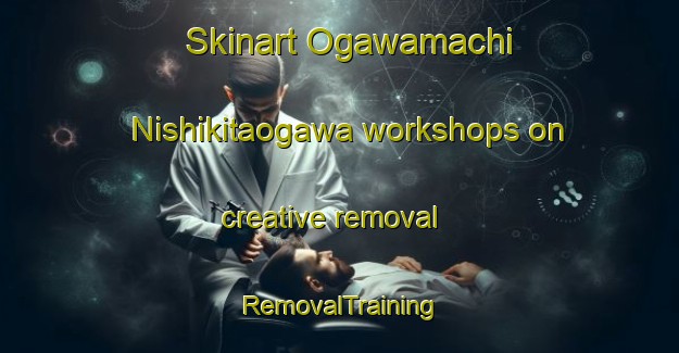 Skinart Ogawamachi Nishikitaogawa workshops on creative removal | RemovalTraining | RemovalClasses | SkinartTraining-Japan