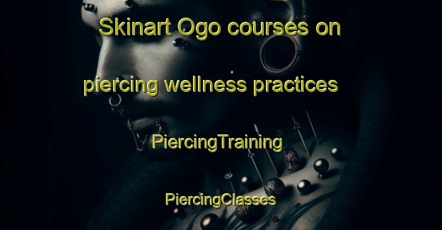 Skinart Ogo courses on piercing wellness practices | #PiercingTraining #PiercingClasses #SkinartTraining-Japan