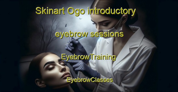 Skinart Ogo introductory eyebrow sessions | EyebrowTraining | EyebrowClasses | SkinartTraining-Japan