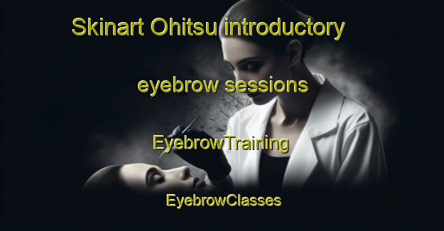 Skinart Ohitsu introductory eyebrow sessions | EyebrowTraining | EyebrowClasses | SkinartTraining-Japan